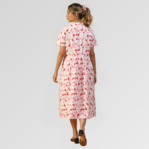 Collar Dress