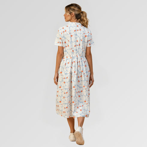 Collar Dress