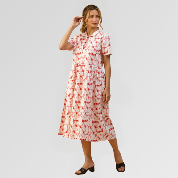 Collar Dress